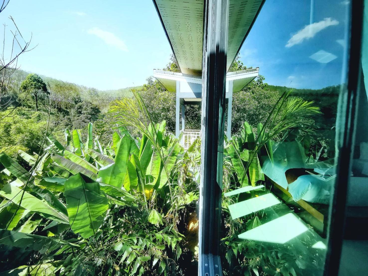 Bangnu Greenery Resort Takua Thung Luaran gambar