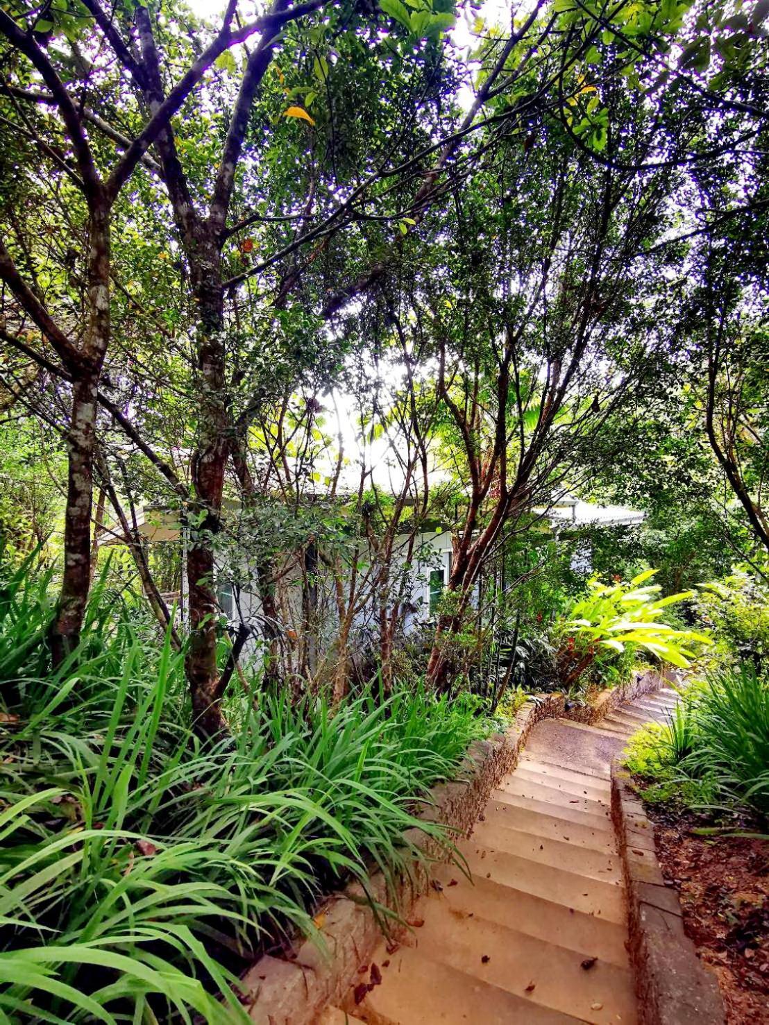 Bangnu Greenery Resort Takua Thung Luaran gambar