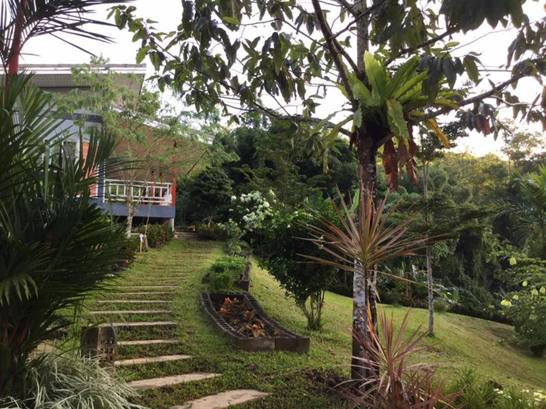 Bangnu Greenery Resort Takua Thung Luaran gambar