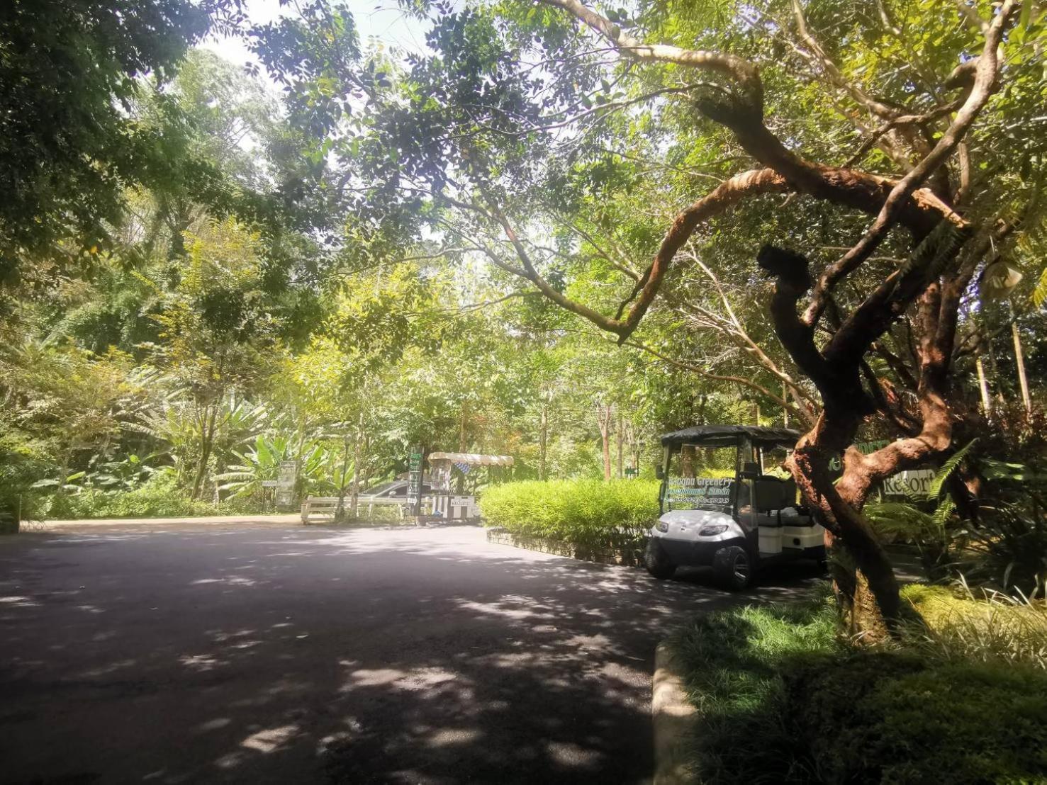 Bangnu Greenery Resort Takua Thung Luaran gambar