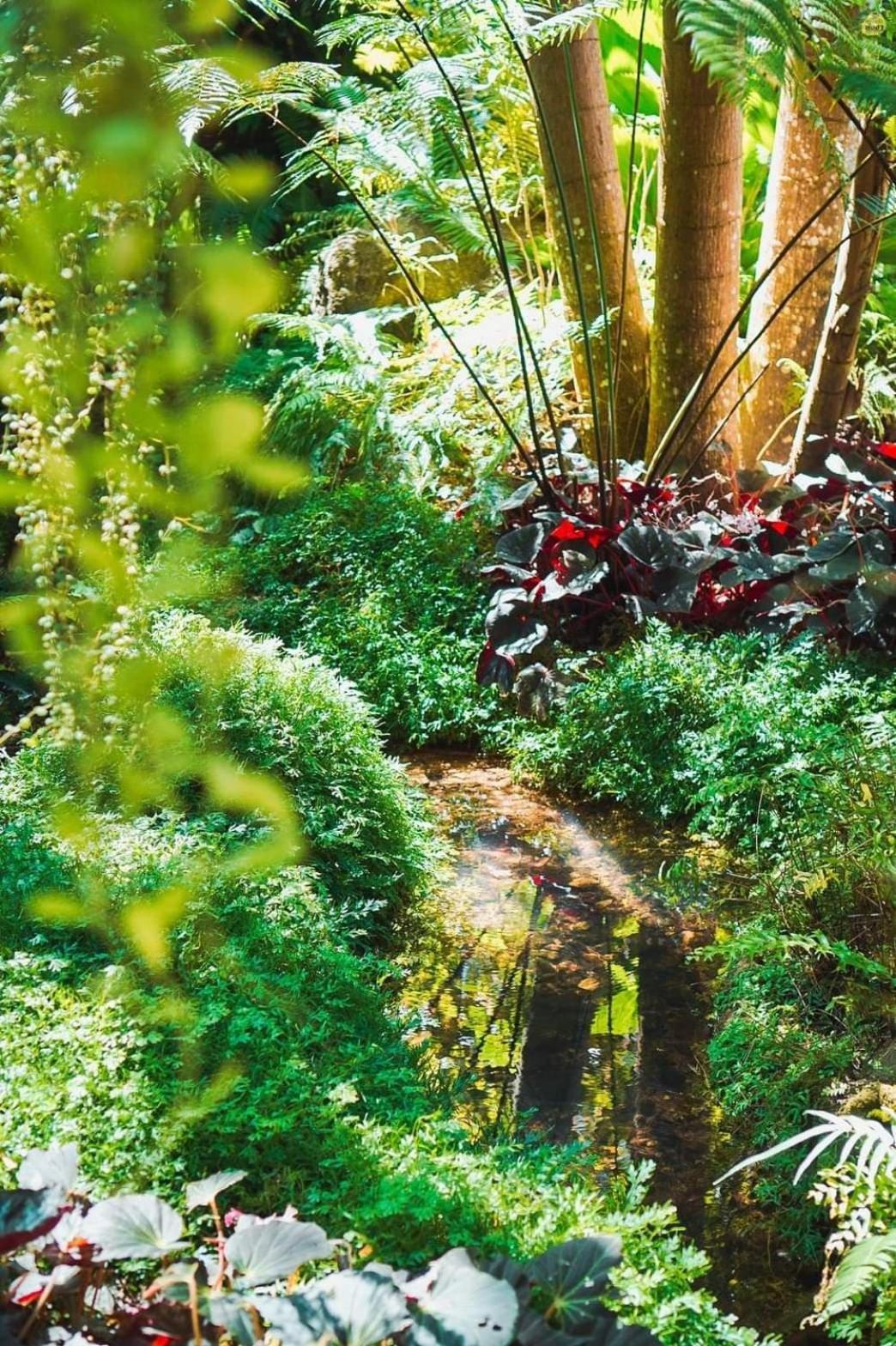 Bangnu Greenery Resort Takua Thung Luaran gambar