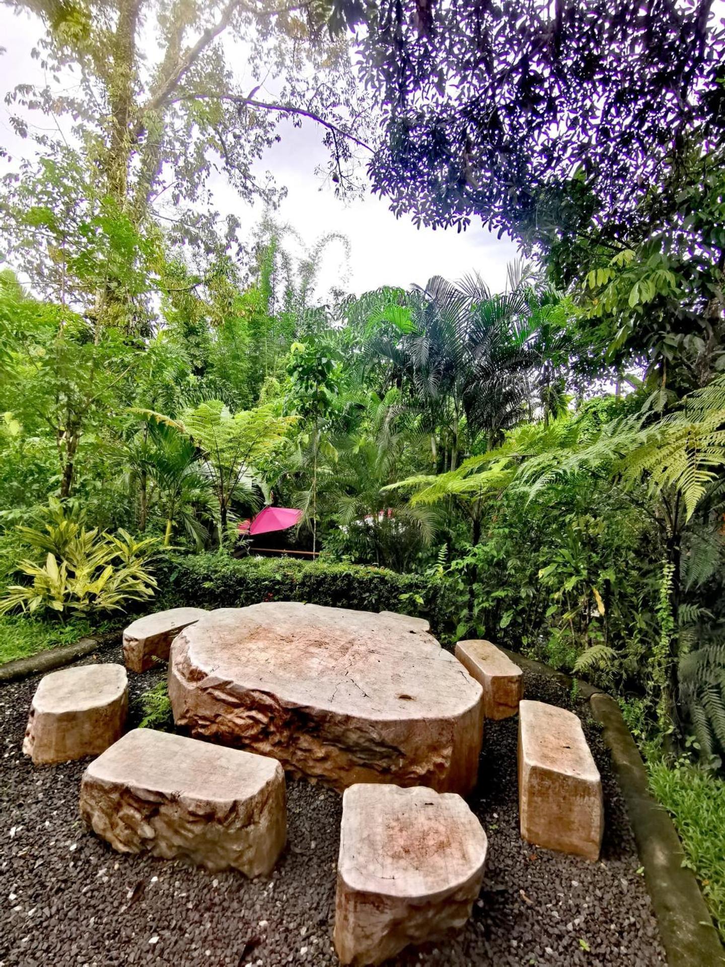 Bangnu Greenery Resort Takua Thung Luaran gambar