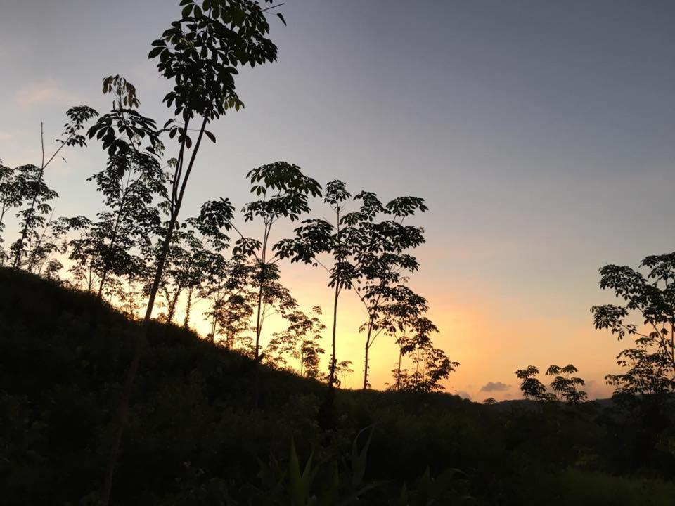 Bangnu Greenery Resort Takua Thung Luaran gambar