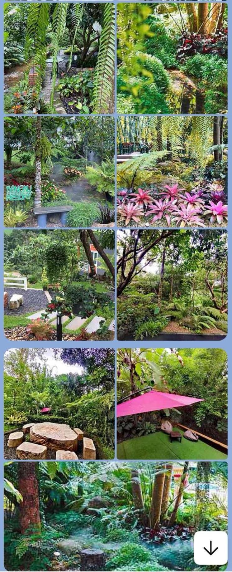 Bangnu Greenery Resort Takua Thung Luaran gambar